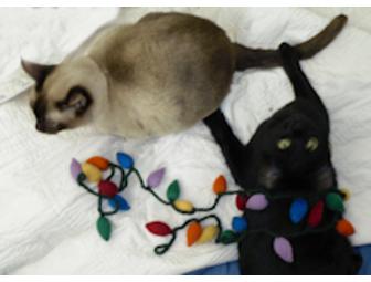 Knitted Christmas Tree Lights