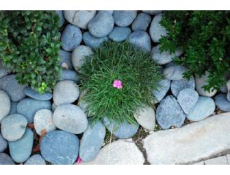 Sacred garden design