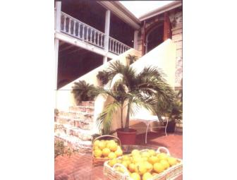 St. Croix Vacation Home - one week stay