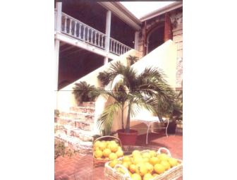 St. Croix Vacation Home - one week stay