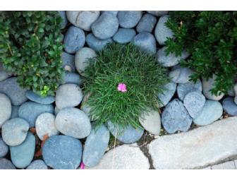 Sacred garden design