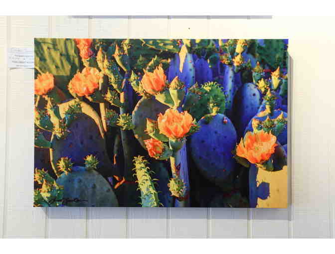 Cactus Blossum Sunset