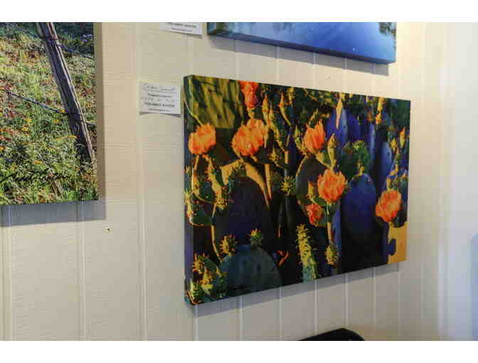 Cactus Blossum Sunset