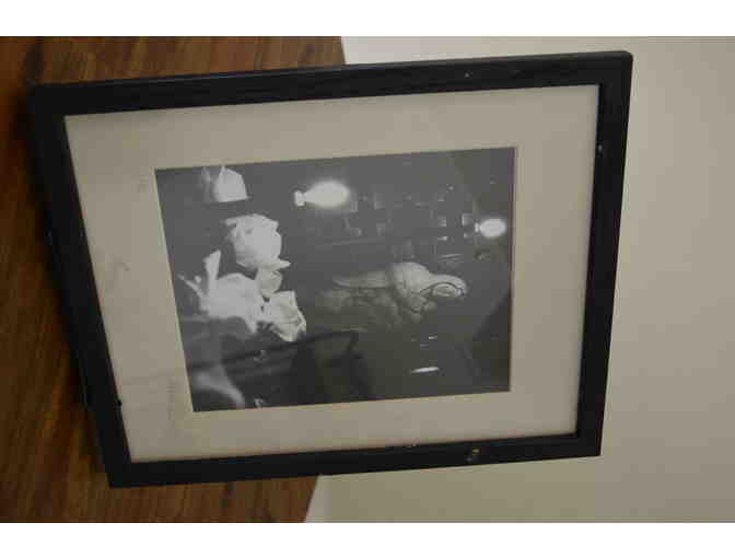 Photography Print (Autographed - #3)