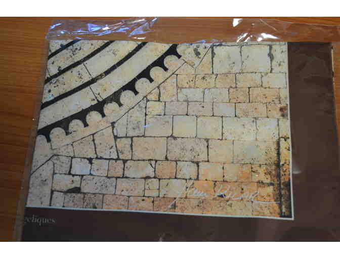 Silk Scarf - Direct from Chartres