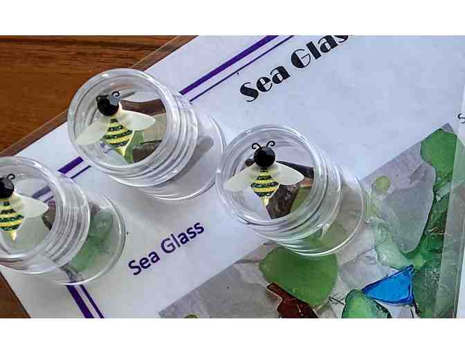 Pilgrim's Scallop and Sea Glass Class Set