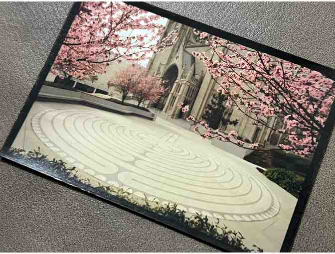 Cherry Blossoms - Grace Cathedral Labyrinth Magnet