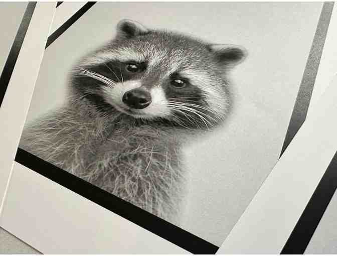 Five of the Forest's Cutest Residents