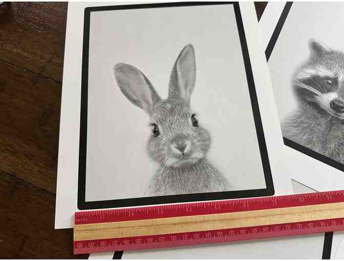 Five of the Forest's Cutest Residents