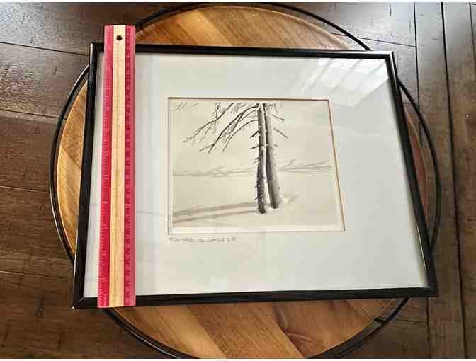 Two Trees, Yellowstone N.P. | Framed Black & White Photography