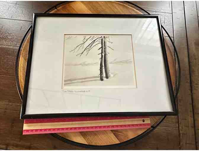 Two Trees, Yellowstone N.P. | Framed Black & White Photography
