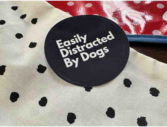 Doggedly Delightful | A Dog-Lovers Package