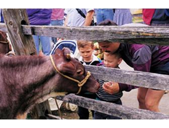 1-Day Family Pass to Billings Farm and Museum