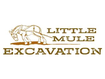 $200 Gift Certificate, Little Mule Excavation