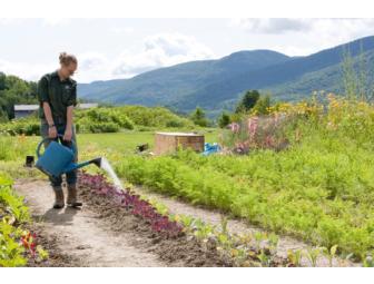 Monitor Barns CSA Share (Feeds family of 2)