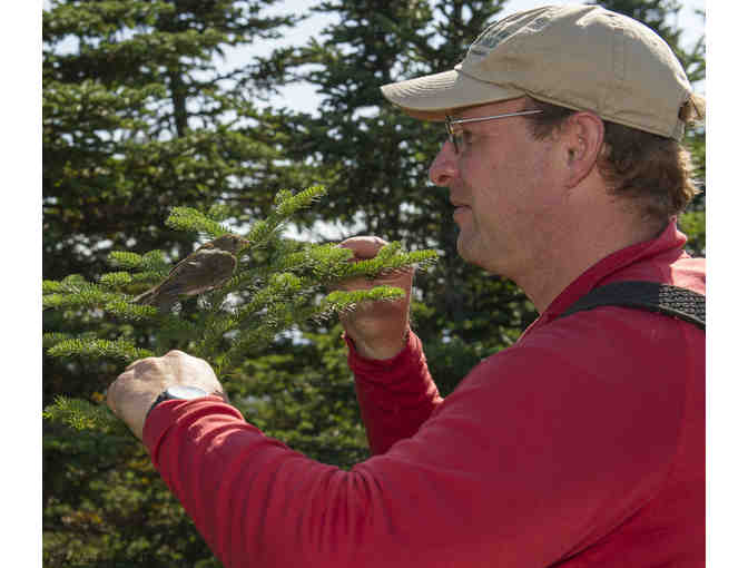 Birding on Mount Mansfield with Conservation Biologist Kent McFarland