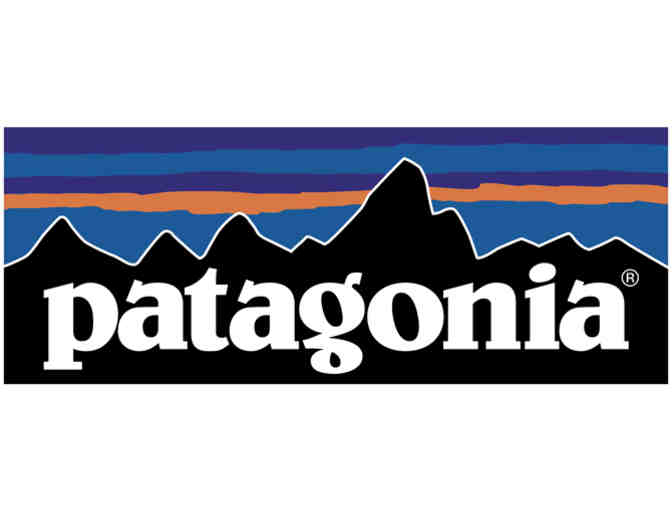 Patagonia Classic Trucker Hat