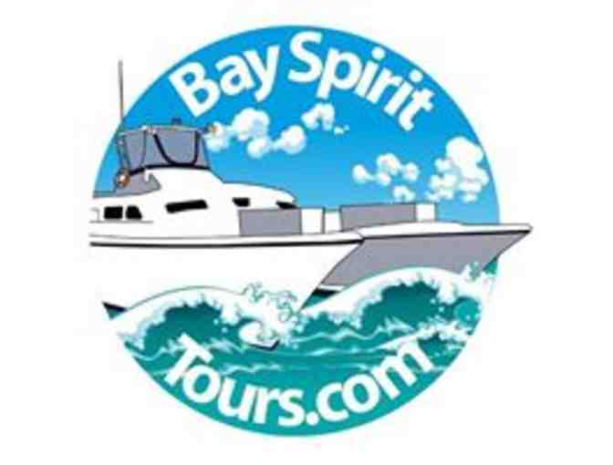 Lighthouse Harbor Tour for 4 at Bay Spirit Tours