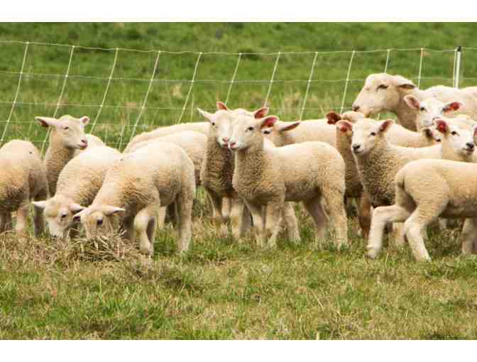 One-Year Family Membership to Shelburne Farms