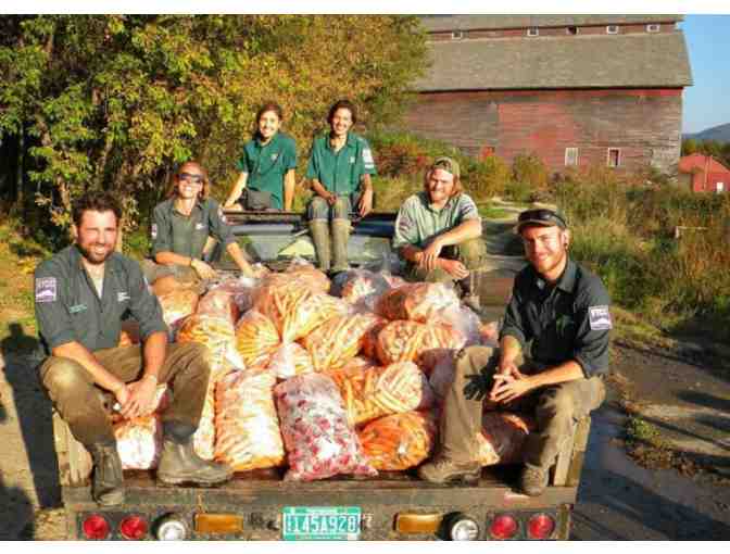 VYCC Farm Organic Veggie Bundle