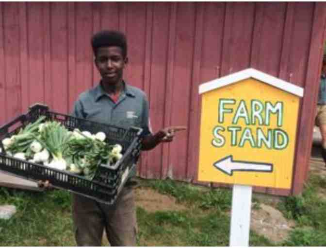 $50 Gift Card to VYCC's Farmstand