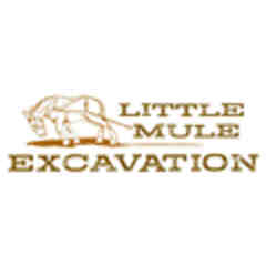 Little Mule Excavation