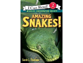 Beginning Reader Science Trio