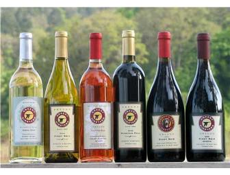 Ankeny Vineyard Wine Tasting & Vineyard Tour