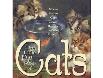 Cat Scratch Fever - Chidren's Books
