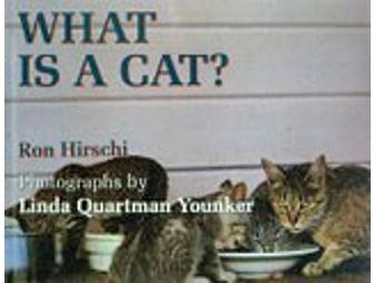 Cat Scratch Fever - Chidren's Books