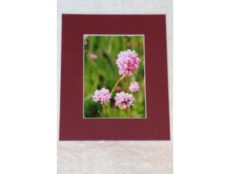 Matted Sea Blush Flower Print