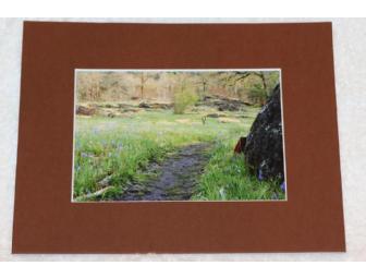 Matted Open Meadow Print