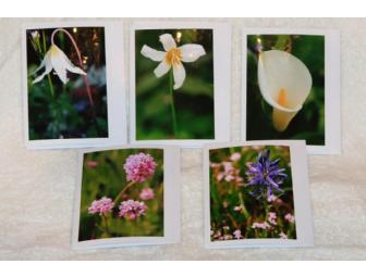 Five note card set of flowers