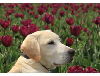 Five note card set of scenes from around Portland