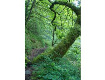 Five note card set of landscapes