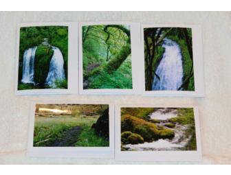 Five note card set of landscapes