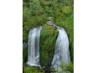 Five note card set of landscapes