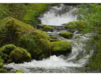 Five note card set of landscapes