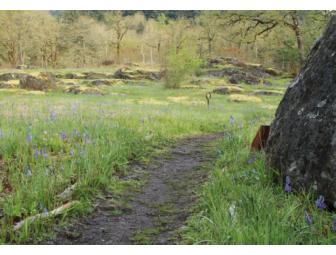 Five note card set of landscapes