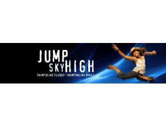 Sky High Sports - 4 individual 1-hr passes