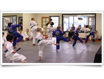 World Champion Tae Kwon Do - three weeks of classes plus uniform