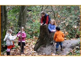 WoodHaven Summer Camp