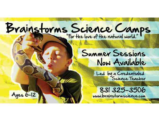 1 week of Summer Camp at Brainstorm Science Camp - Photo 1