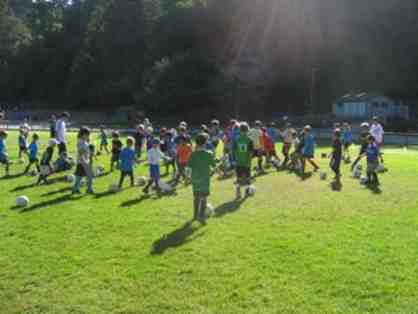 1 Week Summer Soccer Camp (half-day) with Santa Cruz Soccer Camp