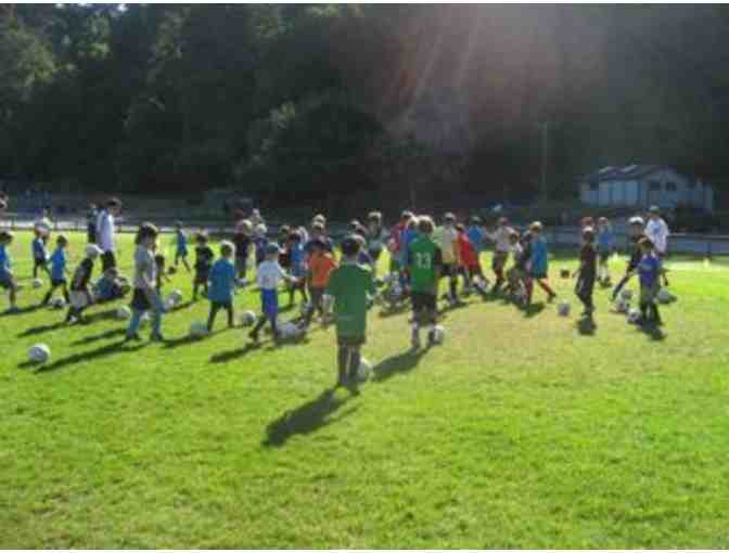 1 Week Summer Soccer Camp (half-day) with Santa Cruz Soccer Camp (2019) - Photo 1