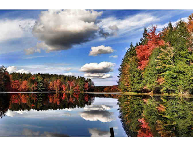 Wine Tasting Tour: Four (4) Passports to Seneca Lake Wineries