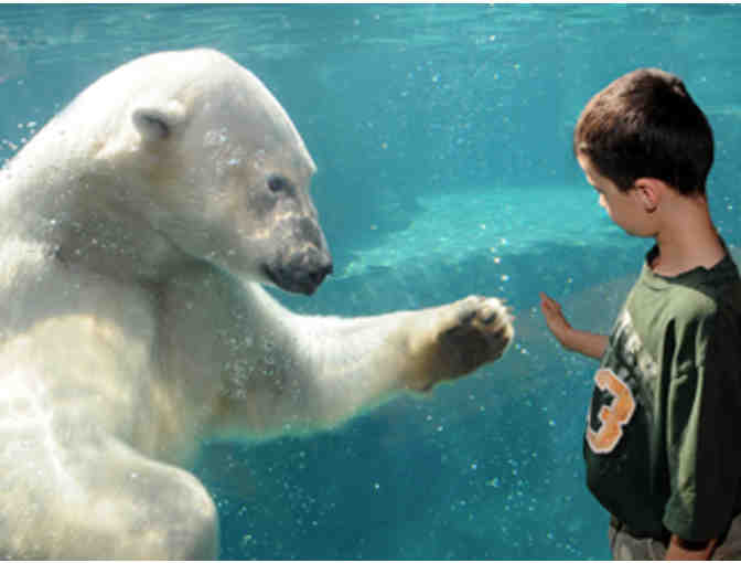 Chicago Vacation with HAMILTON tickets and a visit to the Zoo