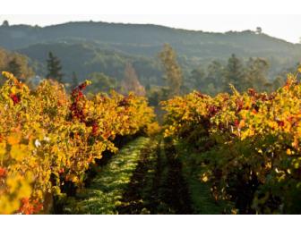 4 Night Exclusive Stay at Annadel Estate Winery for 2 + 1 Mixed Case
