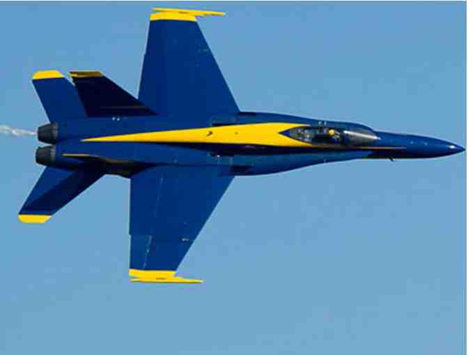 Bethpage Air Show VIP Package By Invitation Only!