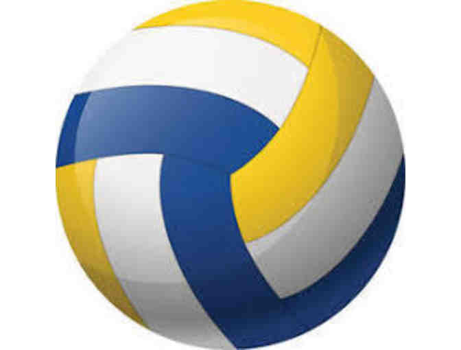 Vis Girls' Grade 4-5 Volleyball Camp